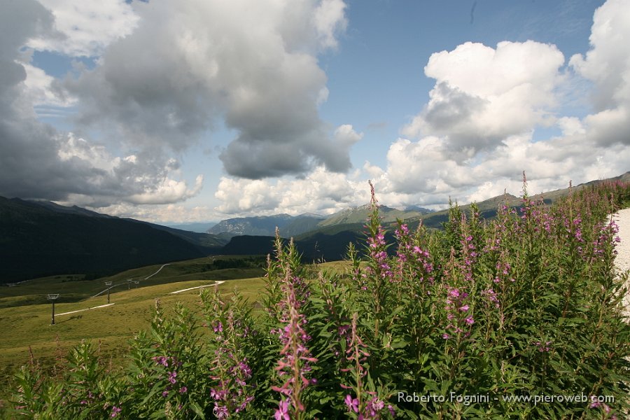 46 Dal Passo Rolle salita  verso  Baita Segantini.JPG